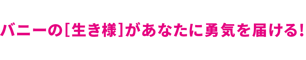 バニーの生き様があなたに勇気を届ける！