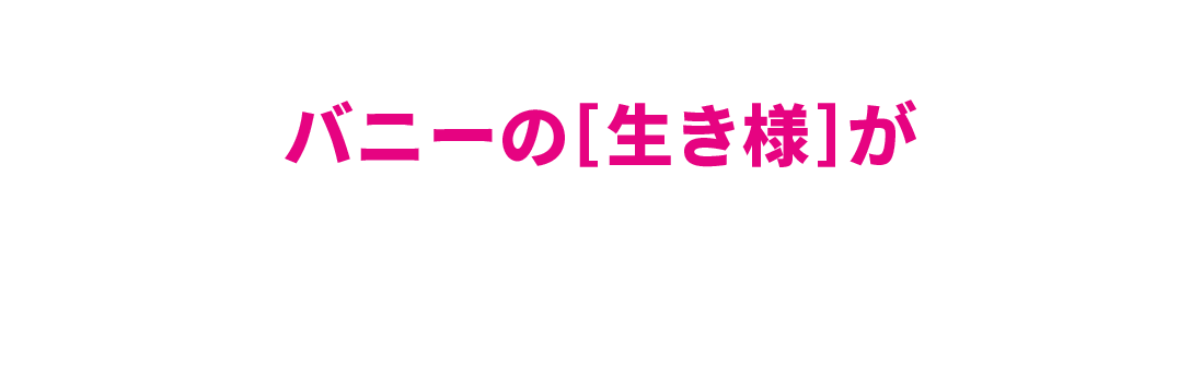 バニーの生き様が