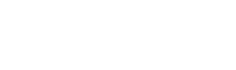 「シニア・スタントマンには彼らの信念を説明する言葉がある。それは『龍虎武師』。