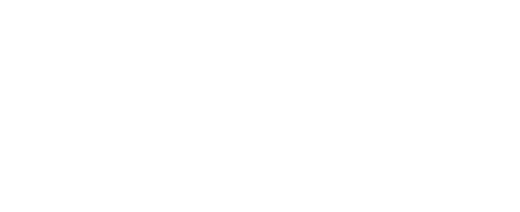 直訳すると『ドラゴ ン・タイガー』。つまり力に力を重ねる、勇気に勇気を重ねる、という意味だ。僕らジュニアにとって、 『龍虎武師』は最高の褒め言葉だった。」