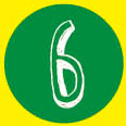 6