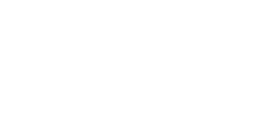 BLIND AMBITION